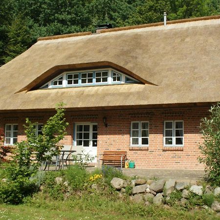 Premiumwohnung Im Biosphaerenreservat Vilmnitz Exteriér fotografie